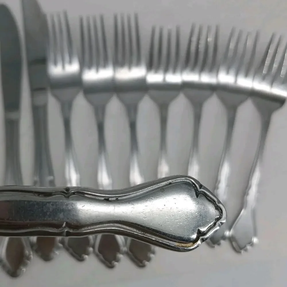 10X Fks Bk Washington Forge SPRING MEADOW Stainless Flatware Table Forks Knives